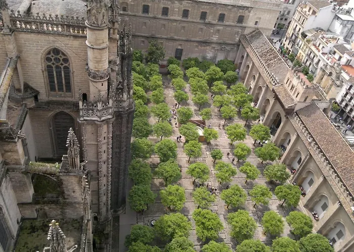 Jose Apartamento 산 호세 데 라 린코나다 사진