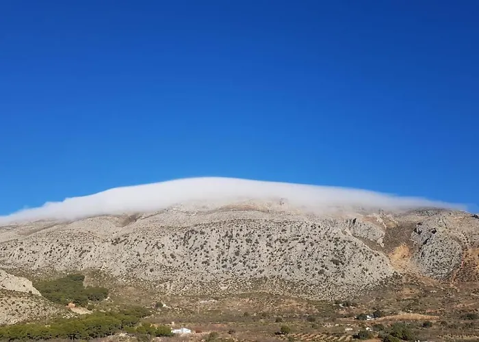 埃尔乔罗Cortijo Don Camilo De La Huma住宿加早餐旅馆照片