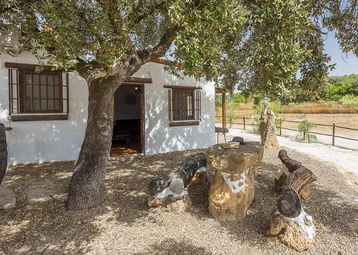 Casa Rural El Ventorrillo Morón de la Frontera fotoğrafı