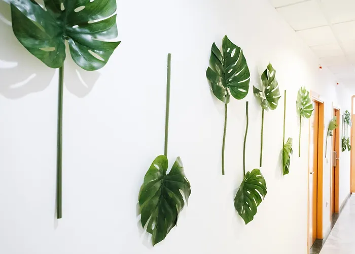 صورة Hotel Isla Menor دوس إرماناس