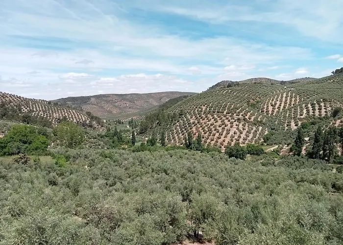 Ferienwohnung El Almendro De La Tia Teresa Prados de Armijo Foto