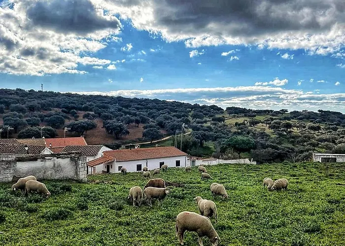 Casa Rural Los Altos Ojuelos Altos 사진