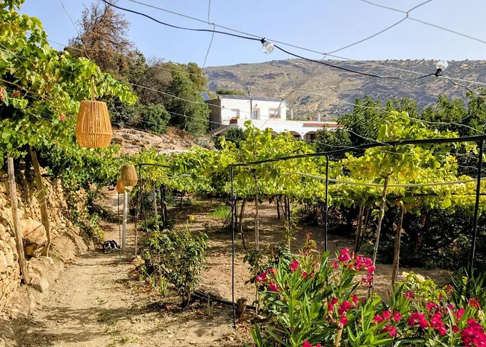 Casa Rural En Ohanes, 1 Dormitorio - El Cortijo Escondido, La Rosa 사진