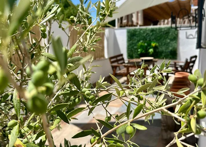 Casita Del Olivo Villa Aldea Quintana képek