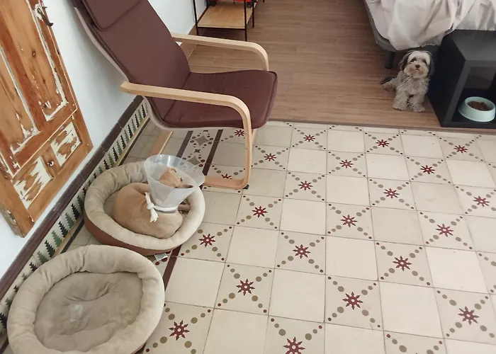 B&B Carmelina & Frasquito フエンテ・デ・ピエドラの写真