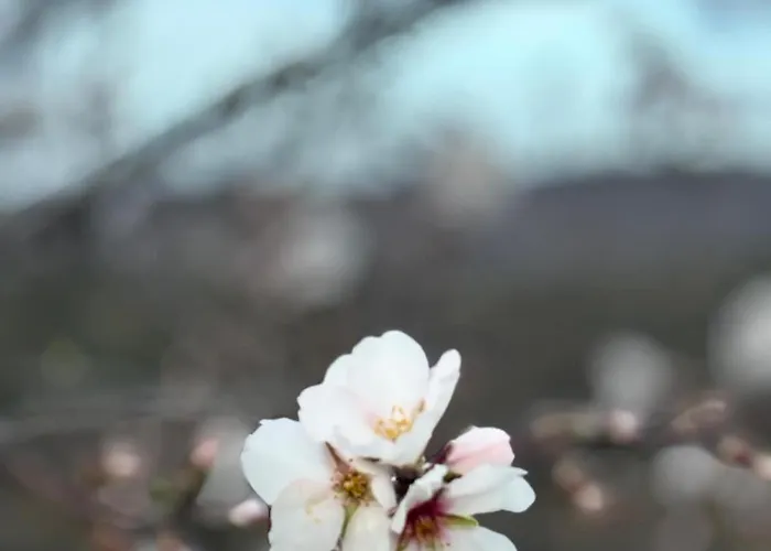 Moza Luze - Off Grid Casa Rural El Pilar y Provincias foto