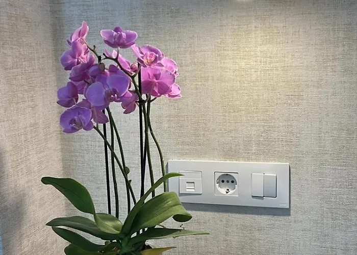 Suites Azahar De Sevilla Bormujos Foto