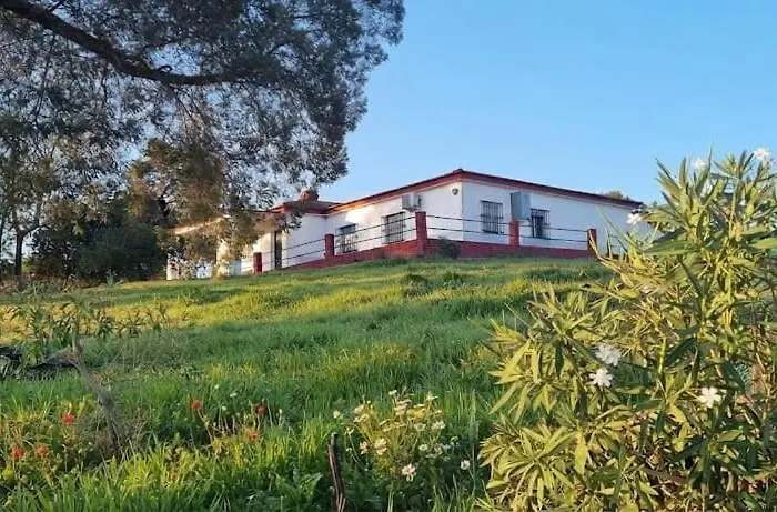 foto di 