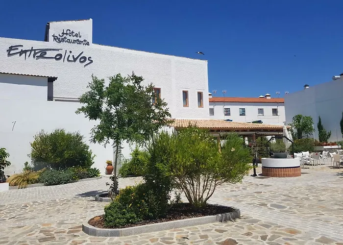 Hotel Entreolivos El Pedroso photo